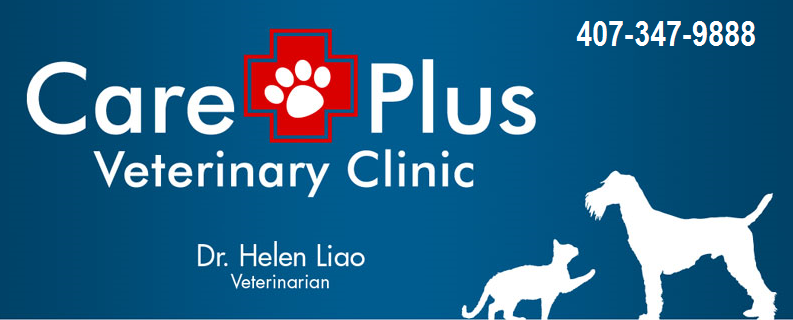 CarePlus Veterinary Clinic - We Provide The Best Possible Care For Your  Beloved Pet - Ocoee, FL